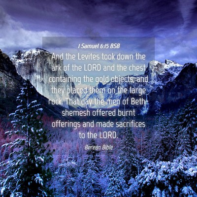 Picture 04 - 1 Samuel 6:15 BSB - And the Levites took down the ark of the LORD and - Bible Verse Picture