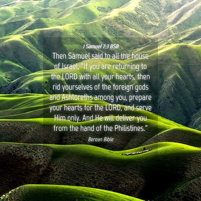 Picture 04 - 1 Samuel 7:3 BSB - Then Samuel said to all the house of Israel, - Bible Verse Picture