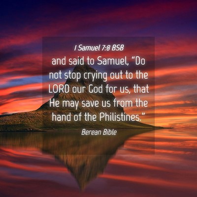 Picture 04 - 1 Samuel 7:8 BSB - and said to Samuel, “Do not stop crying out to - Bible Verse Picture