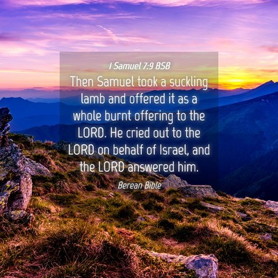 Picture 04 - 1 Samuel 7:9 BSB - Then Samuel took a suckling lamb and offered it - Bible Verse Picture