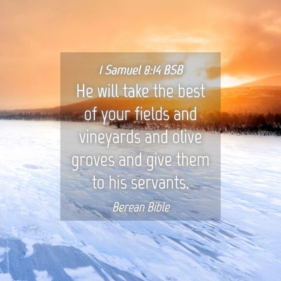 Picture 04 - 1 Samuel 8:14 BSB - He will take the best of your fields and - Bible Verse Picture