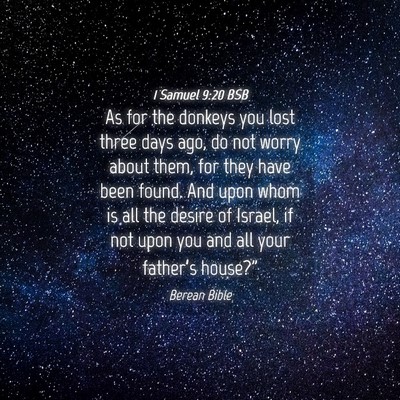 Picture 04 - 1 Samuel 9:20 BSB - As for the donkeys you lost three days ago, do - Bible Verse Picture