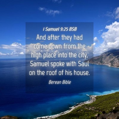Picture 04 - 1 Samuel 9:25 BSB - And after they had come down from the high place - Bible Verse Picture