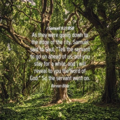 Picture 04 - 1 Samuel 9:27 BSB - As they were going down to the edge of the city, - Bible Verse Picture