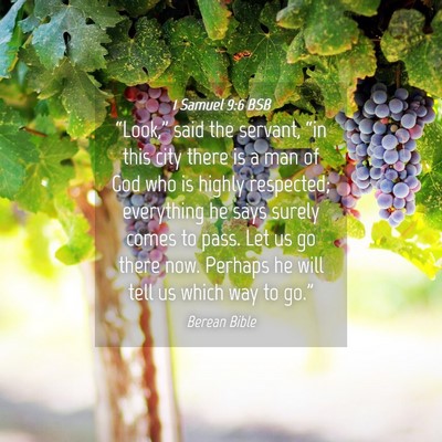 Picture 04 - 1 Samuel 9:6 BSB - “Look,” said the servant, “in this city - Bible Verse Picture