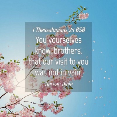 Picture 04 - 1 Thessalonians 2:1 BSB - You yourselves know, brothers, that our visit to - Bible Verse Picture