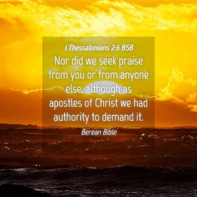Picture 04 - 1 Thessalonians 2:6 BSB - Nor did we seek praise from you or from anyone - Bible Verse Picture