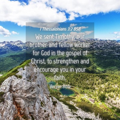 Picture 04 - 1 Thessalonians 3:2 BSB - We sent Timothy, our brother and fellow worker - Bible Verse Picture