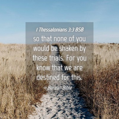 Picture 04 - 1 Thessalonians 3:3 BSB - so that none of you would be shaken by these - Bible Verse Picture