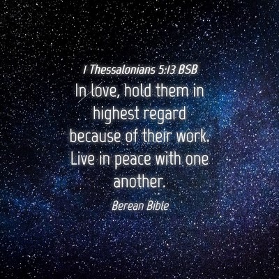 Picture 04 - 1 Thessalonians 5:13 BSB - In love, hold them in highest regard because of - Bible Verse Picture