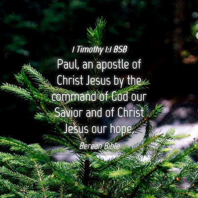 Picture 04 - 1 Timothy 1:1 BSB - Paul, an apostle of Christ Jesus by the command - Bible Verse Picture