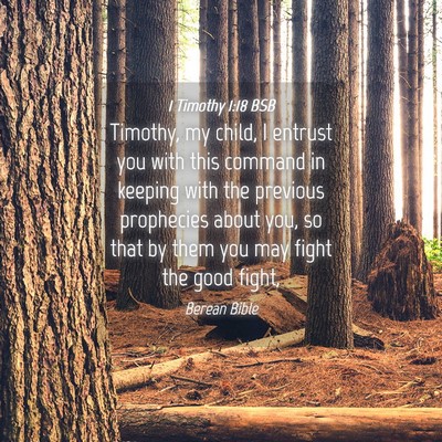 Picture 04 - 1 Timothy 1:18 BSB - Timothy, my child, I entrust you with this - Bible Verse Picture
