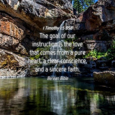 Picture 04 - 1 Timothy 1:5 BSB - The goal of our instruction is the love that - Bible Verse Picture