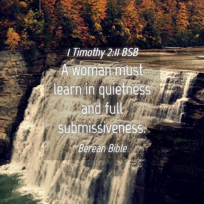 Picture 04 - 1 Timothy 2:11 BSB - A woman must learn in quietness and full - Bible Verse Picture