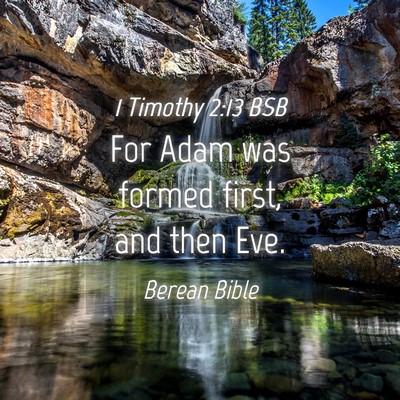 Picture 04 - 1 Timothy 2:13 BSB - For Adam was formed first, and then - Bible Verse Picture