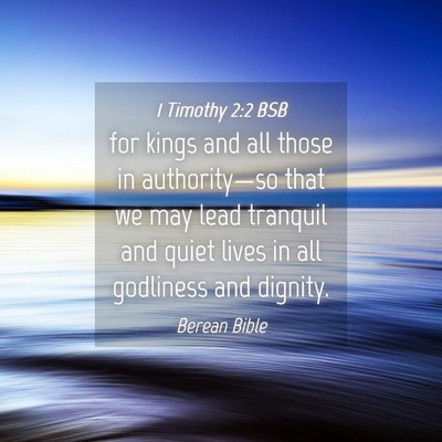 Picture 04 - 1 Timothy 2:2 BSB - for kings and all those in authority—so that we - Bible Verse Picture