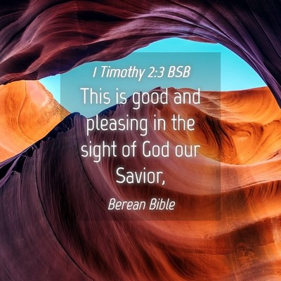 Picture 04 - 1 Timothy 2:3 BSB - This is good and pleasing in the sight of God our - Bible Verse Picture
