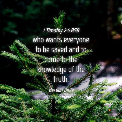 Picture 04 - 1 Timothy 2:4 BSB - who wants everyone to be saved and to come to the - Bible Verse Picture
