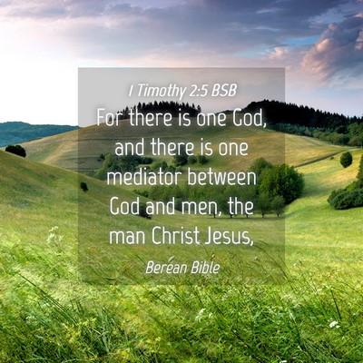 Picture 04 - 1 Timothy 2:5 BSB - For there is one God, and there is one mediator - Bible Verse Picture
