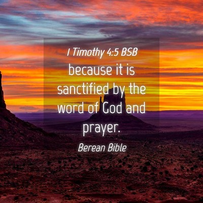Picture 04 - 1 Timothy 4:5 BSB - because it is sanctified by the word of God and - Bible Verse Picture