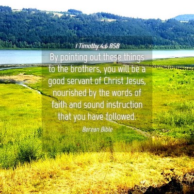Picture 04 - 1 Timothy 4:6 BSB - By pointing out these things to the brothers, you - Bible Verse Picture