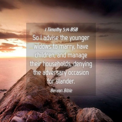 Picture 04 - 1 Timothy 5:14 BSB - So I advise the younger widows to marry, have - Bible Verse Picture
