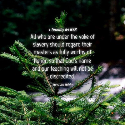 Picture 04 - 1 Timothy 6:1 BSB - All who are under the yoke of slavery should - Bible Verse Picture