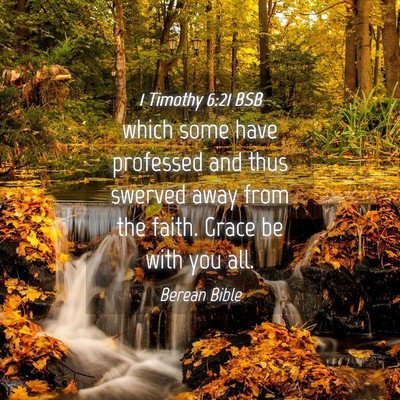 Picture 04 - 1 Timothy 6:21 BSB - which some have professed and thus swerved away - Bible Verse Picture