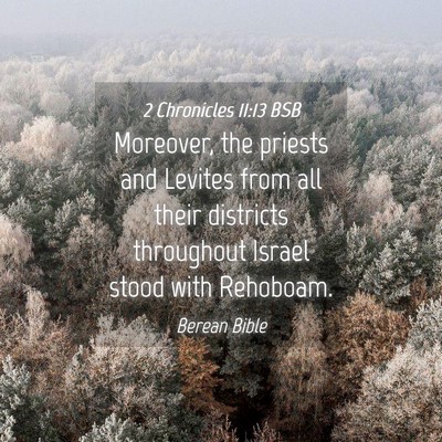 Picture 04 - 2 Chronicles 11:13 BSB - Moreover, the priests and Levites from all their - Bible Verse Picture