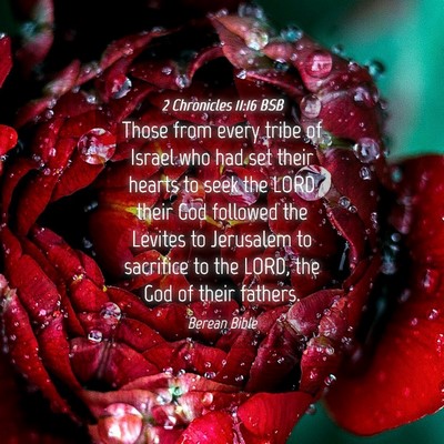 Picture 04 - 2 Chronicles 11:16 BSB - Those from every tribe of Israel who had set - Bible Verse Picture