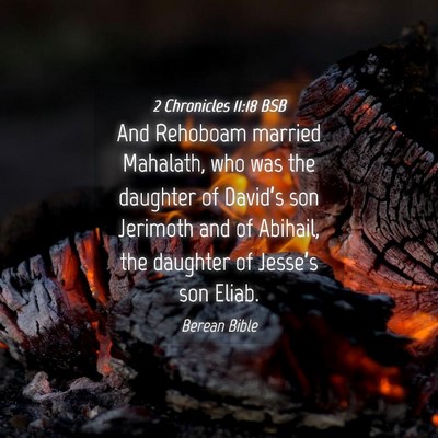 Picture 04 - 2 Chronicles 11:18 BSB - And Rehoboam married Mahalath, who was the - Bible Verse Picture