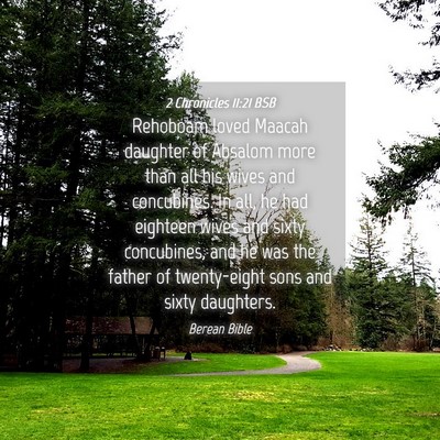 Picture 04 - 2 Chronicles 11:21 BSB - Rehoboam loved Maacah daughter of Absalom more - Bible Verse Picture