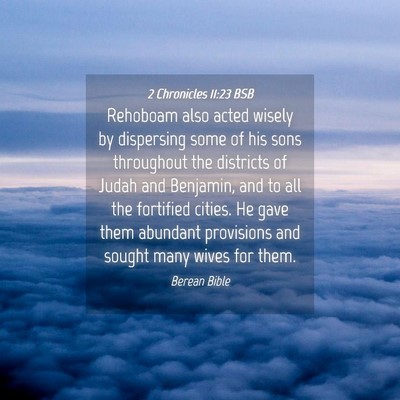Picture 04 - 2 Chronicles 11:23 BSB - Rehoboam also acted wisely by dispersing some of - Bible Verse Picture