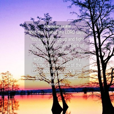 Picture 04 - 2 Chronicles 11:4 BSB - that this is what the LORD says: ‘You are not - Bible Verse Picture