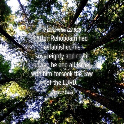 Picture 04 - 2 Chronicles 12:1 BSB - After Rehoboam had established his sovereignty - Bible Verse Picture