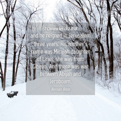 Picture 04 - 2 Chronicles 13:2 BSB - and he reigned in Jerusalem three years. His - Bible Verse Picture