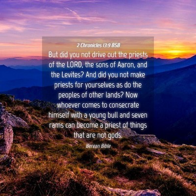 Picture 04 - 2 Chronicles 13:9 BSB - But did you not drive out the priests of the - Bible Verse Picture