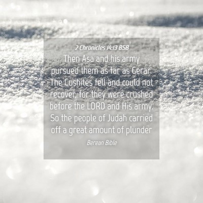Picture 04 - 2 Chronicles 14:13 BSB - Then Asa and his army pursued them as far as - Bible Verse Picture