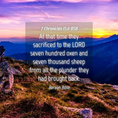 Picture 04 - 2 Chronicles 15:11 BSB - At that time they sacrificed to the LORD seven - Bible Verse Picture