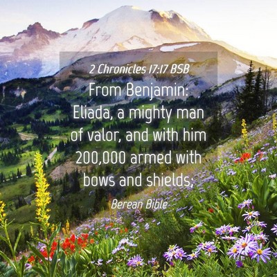 Picture 04 - 2 Chronicles 17:17 BSB - From Benjamin: Eliada, a mighty man of valor, and - Bible Verse Picture