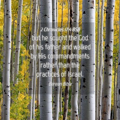 Picture 04 - 2 Chronicles 17:4 BSB - but he sought the God of his father and walked by - Bible Verse Picture