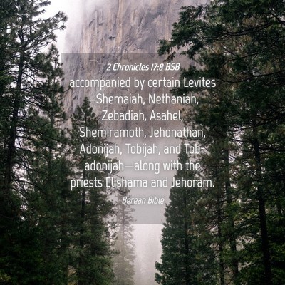 Picture 04 - 2 Chronicles 17:8 BSB - accompanied by certain Levites—Shemaiah, - Bible Verse Picture