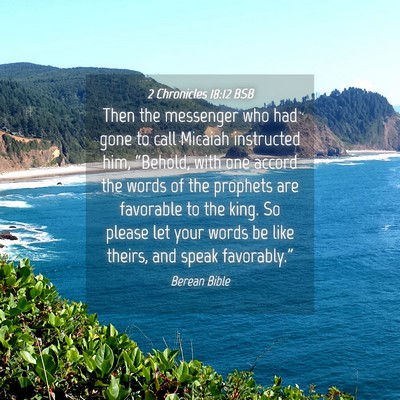 Picture 04 - 2 Chronicles 18:12 BSB - Then the messenger who had gone to call Micaiah - Bible Verse Picture