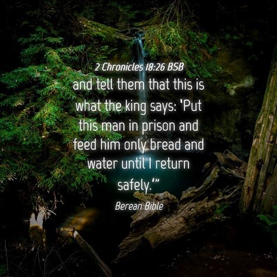 Picture 04 - 2 Chronicles 18:26 BSB - and tell them that this is what the king says: - Bible Verse Picture