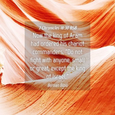 Picture 04 - 2 Chronicles 18:30 BSB - Now the king of Aram had ordered his chariot - Bible Verse Picture