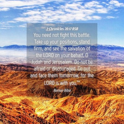 Picture 04 - 2 Chronicles 20:17 BSB - You need not fight this battle. Take up your - Bible Verse Picture