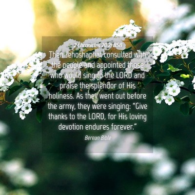 Picture 04 - 2 Chronicles 20:21 BSB - Then Jehoshaphat consulted with the people and - Bible Verse Picture