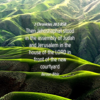 Picture 04 - 2 Chronicles 20:5 BSB - Then Jehoshaphat stood in the assembly of Judah - Bible Verse Picture