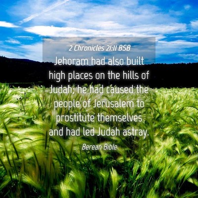 Picture 04 - 2 Chronicles 21:11 BSB - Jehoram had also built high places on the hills - Bible Verse Picture