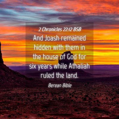 Picture 04 - 2 Chronicles 22:12 BSB - And Joash remained hidden with them in the house - Bible Verse Picture
